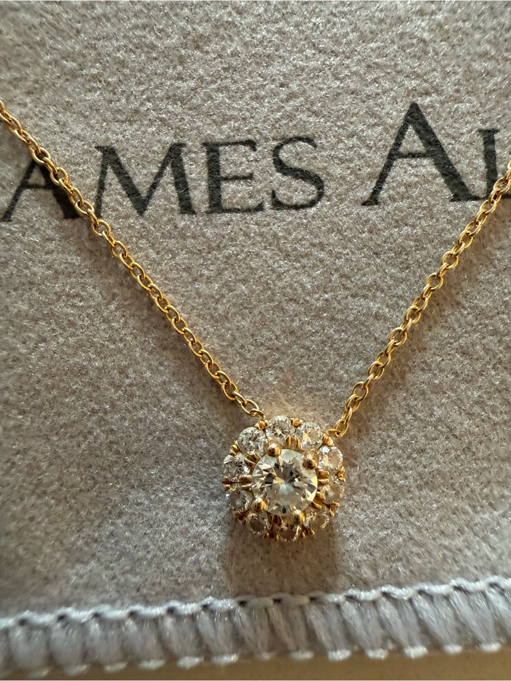 James Allen 14k Gold Halo Necklace with Clear Stones
